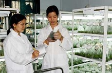 Vietnam y Laos fomentan cooperación científica 